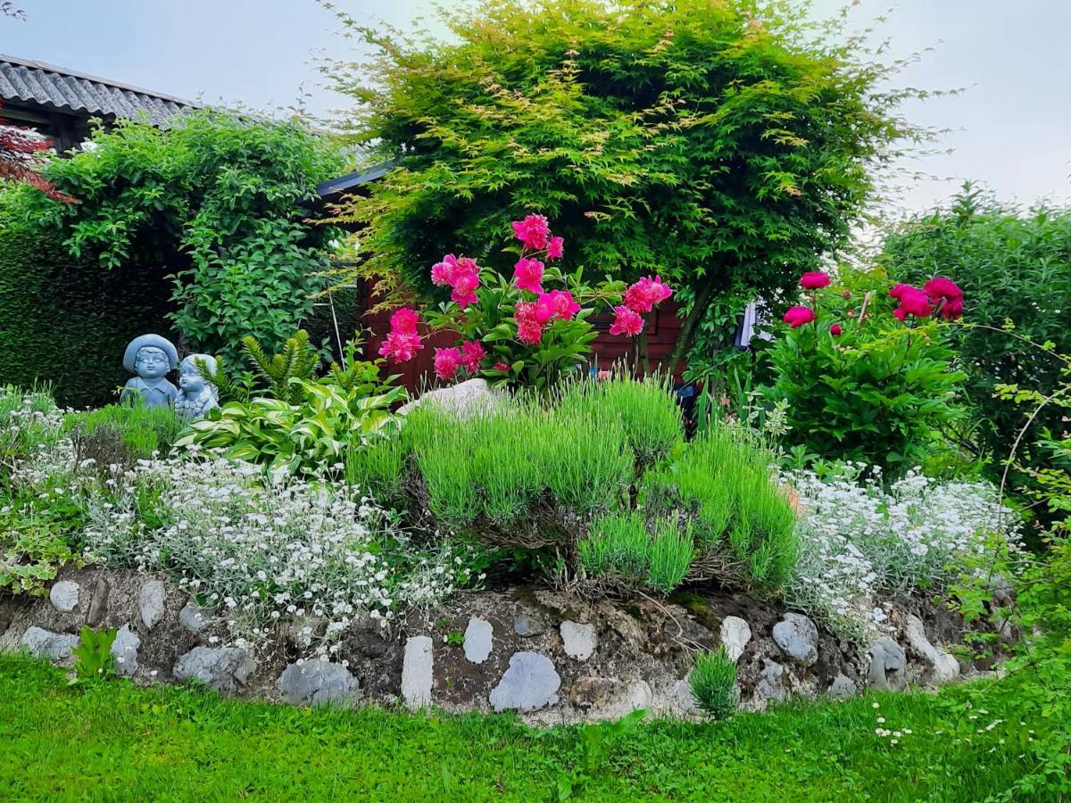 Garden Paradise Bled Apartments - Garden, Pond And Castle View ภายนอก รูปภาพ